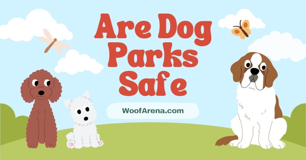 Are Dog Parks Safe