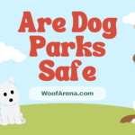 Are Dog Parks Safe