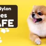 Are Nylon Bones Safe for Dogs