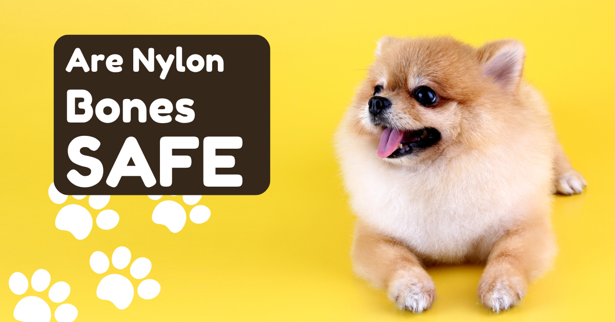 You are currently viewing Are Nylon Bones Safe for Dogs? Vet-Tested Results After 300+ Hours
