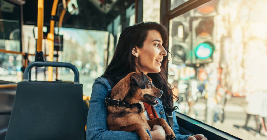 Can I Take My Dog on a Bus