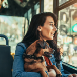 Can I Take My Dog on a Bus
