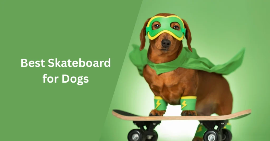 Best Skateboard for Dogs