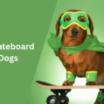Best Skateboard for Dogs