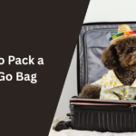 How to Pack a Dog Go Bag
