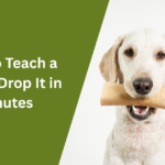 How to Teach a Dog to Drop It in Minutes