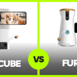 Petcube vs Furbo