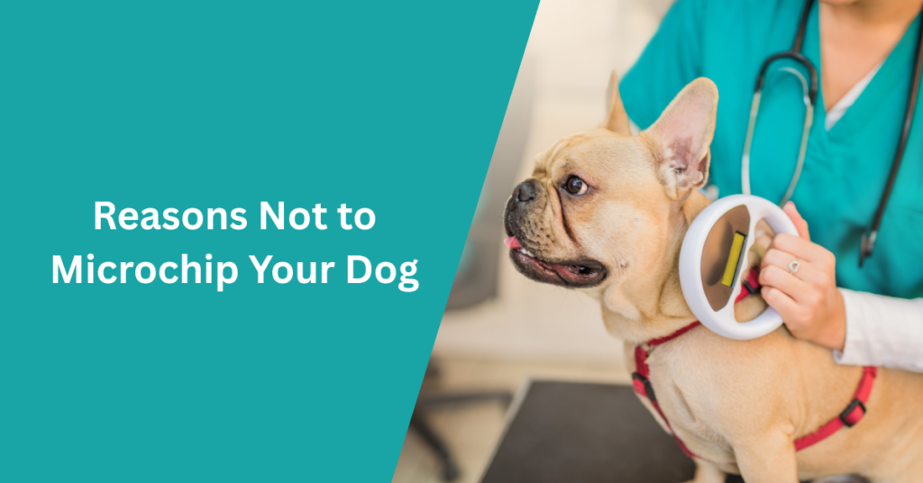 Reasons Not to Microchip Your Dog
