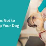 Reasons Not to Microchip Your Dog