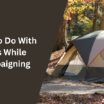 What to Do With Dogs While Campaigning