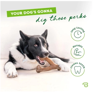 Benebone Wishbone Durable Dog Chew Toy for Aggressive Chewers