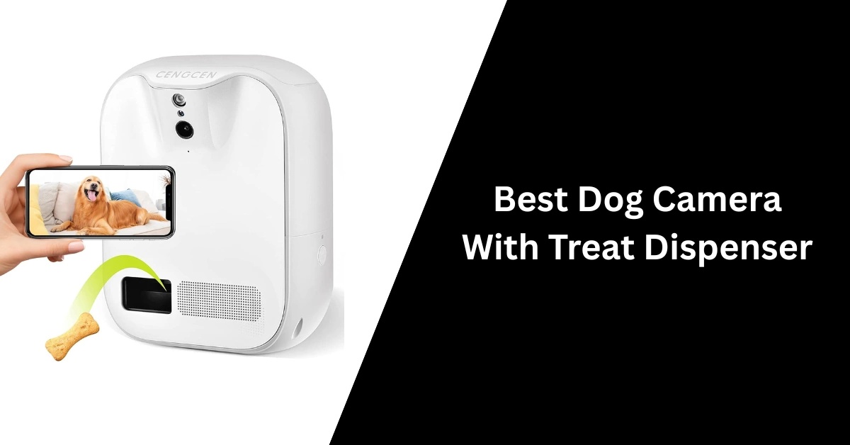 Best Dog Camera with Treat Dispenser