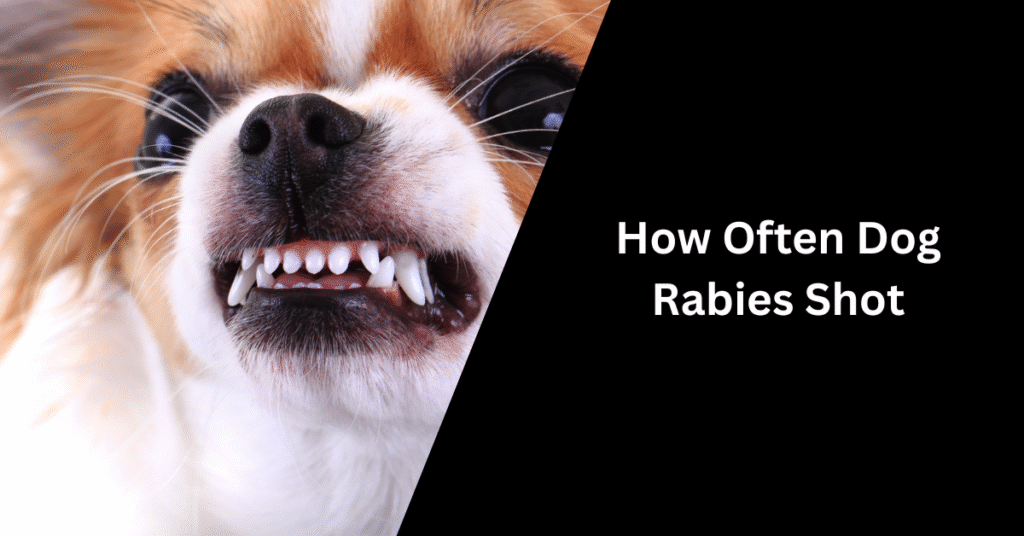 How Often Dog Rabies Shot