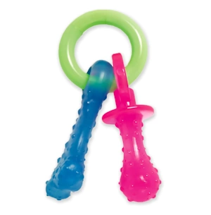 Nylabone Puppy Pacifier Chew Toy, Teething Toys for Puppies