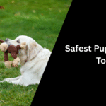 Safest Puppy Chew Toys