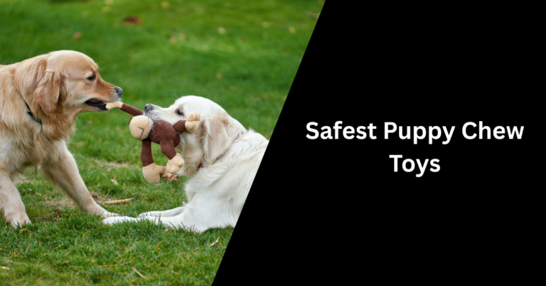 15 Safest Puppy Chew Toys Vet-Recommended for 2025 - Puppy Weight ...