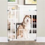 Best Dog Gates for Large Dogs