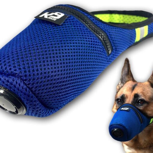 Best Dog Muzzles to Prevent Biting