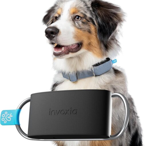 Best Smart Dog Collar