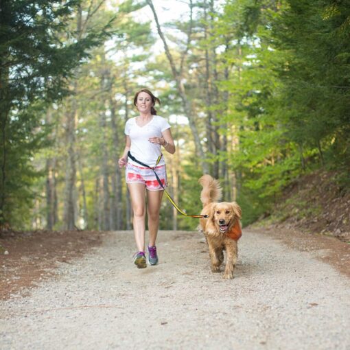 Best Hands Free Leashes