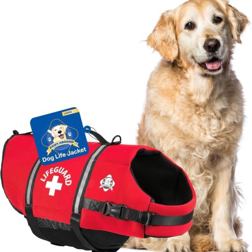 Best Dog Life Jacket for Boating