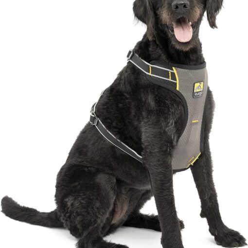 Best Dog Car Harnesses