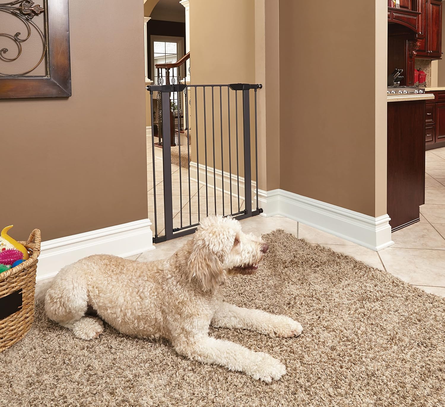 9 Best Dog Gates for Large Dogs: Expert-Tested - Puppy Weight Calculator - Multi-Point Locking Dog Crate Gates For High-Traffic Areas