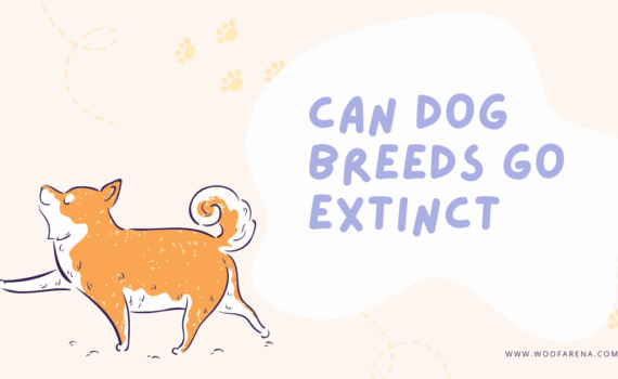 Can Dog Breeds Go Extinct