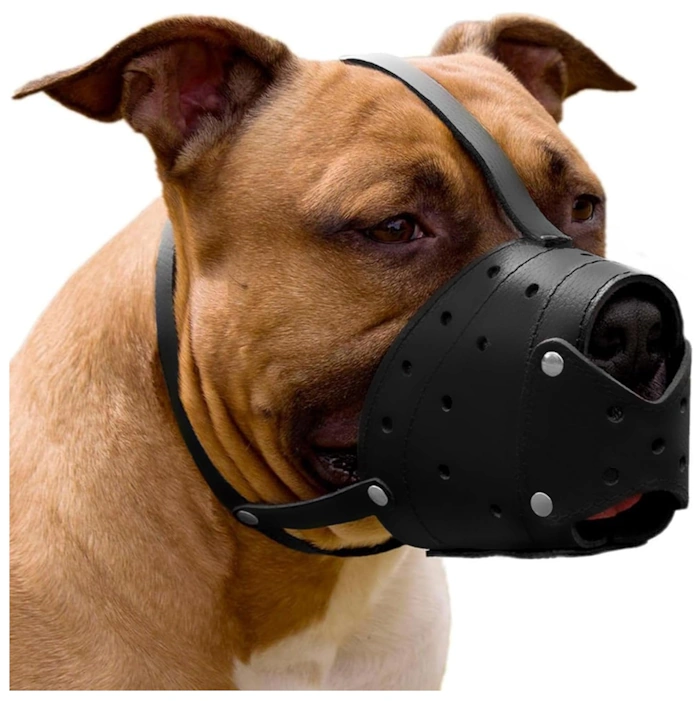 CollarDirect Leather Basket Dog Muzzle for German Shepherd Staffordshire Terrier Pitbull Medium Large Breeds Training, Anti-Barking, Biting, Chewing