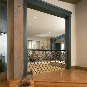 Evenflo Expansion Walk-Thru Room Divider Dog Gate