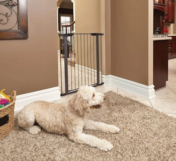 MidWest Homes for Pets 39 Inches Tall Walk-Though Steel Dog Gate