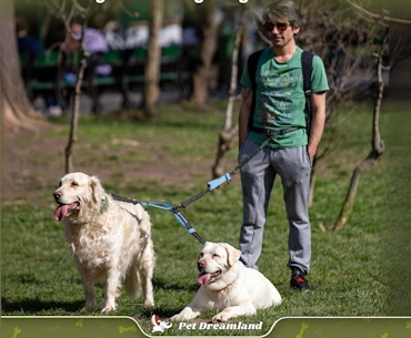 Pet Dreamland Exquisite Hands Free Dual Dog Leash - Two Dogs