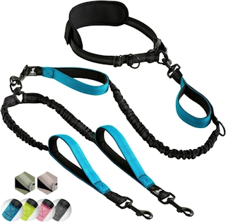 SparklyPets Hands Free Double Dog Leash