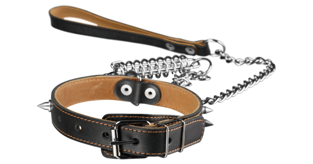 Best Dog Grooming Vacuum