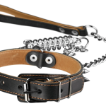 Best Dog Grooming Vacuum