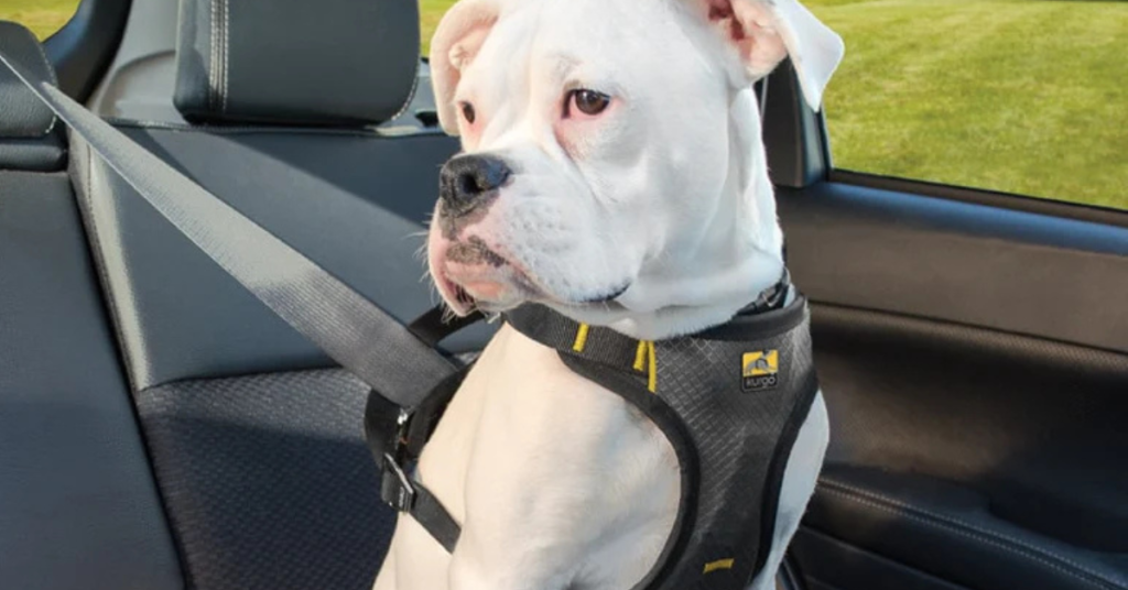 Best Dog Car Harnesses
