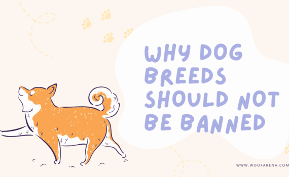 Why Dog Breeds Should Not Be Banned