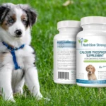 Best Calcium Supplements for Dogs