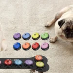Best Talking Buttons for Dogs and How to Teach and Use Them